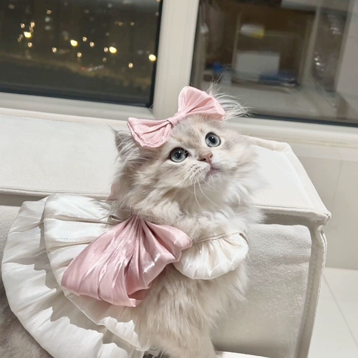 Cute Pet Cat Skirt Spring/Summer Dog Suspender Skirt Traction Pink Streamer Skirt Maltese Yorkshire