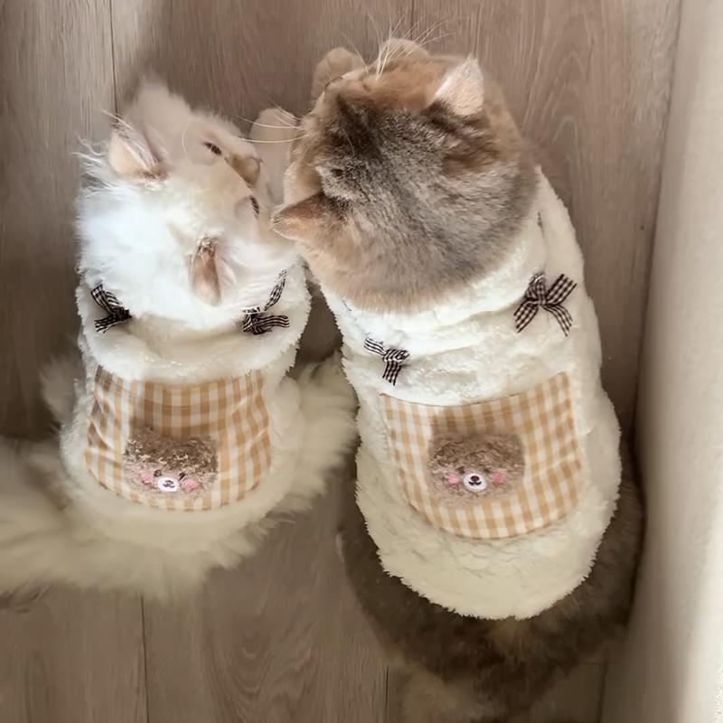 Cat clothes autumn and winter anti-hair loss warm velvet vest British short ragdoll cat blue cat pet cat clothes