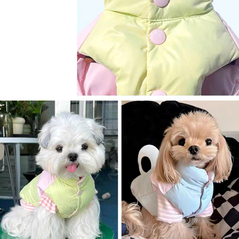 Dog cotton coat vest teddy cat small dog dog clothes Bigbear VIP Pomeranian Yorkshire autumn and winter clothing