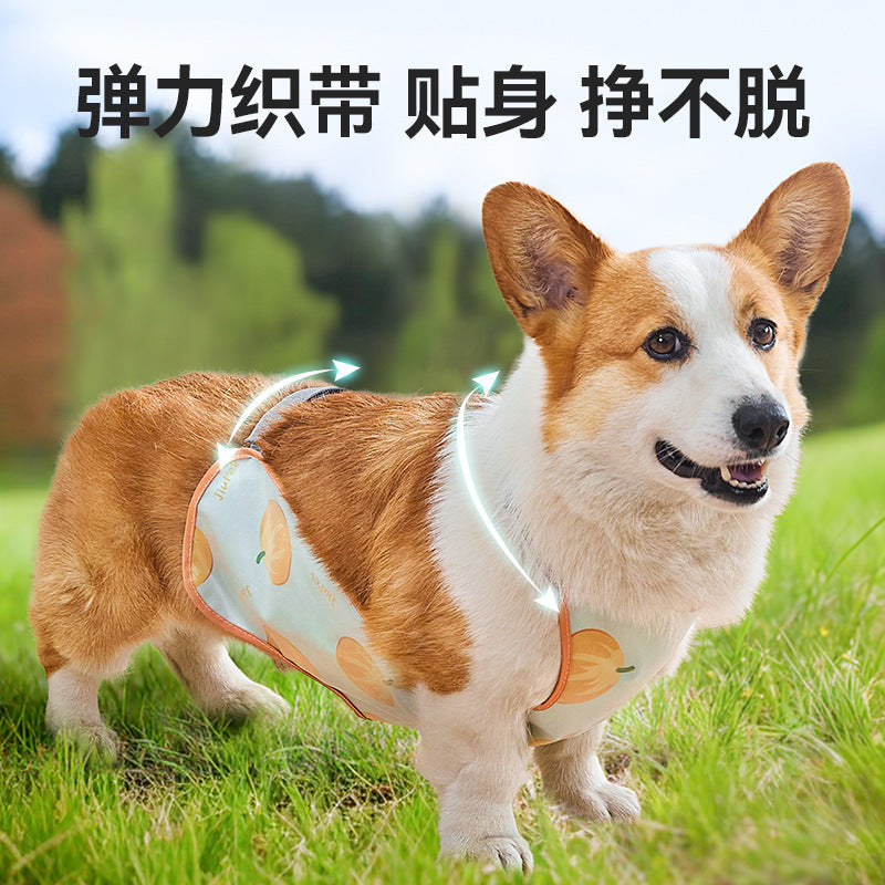 Dog waterproof belly pocket, anti-dirty, moisture-proof, stomach protection, anti-cold Corgi, male and female models, universal in all seasons, cross-border wholesale