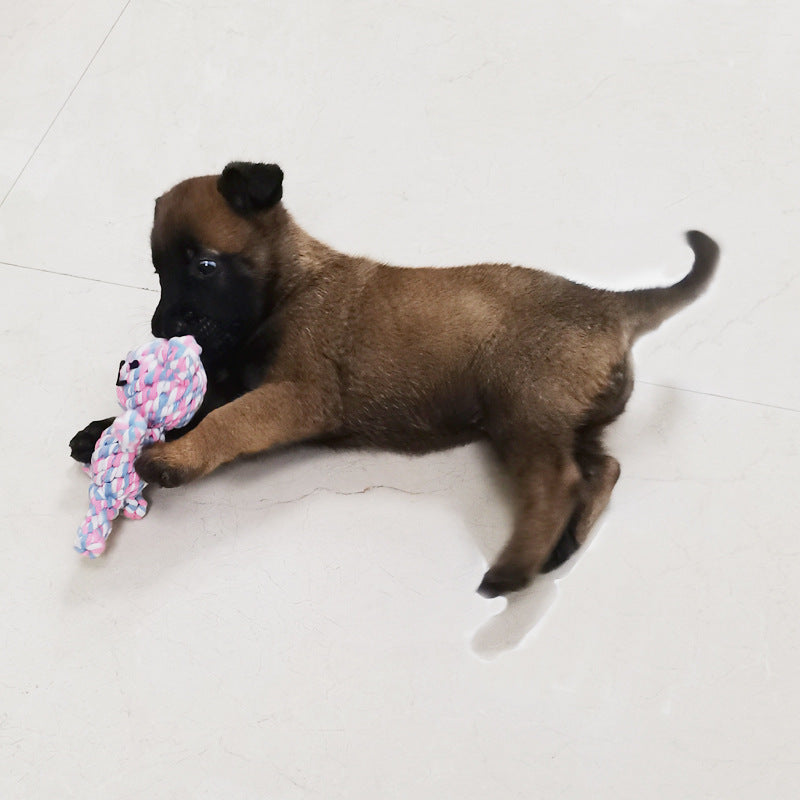 Pet Supplies Dog Training Teeth Grinding Cotton Rope gnaw-resistant Weaving Interactive Toy Simulation Animal Dog Bite Rope Wholesale