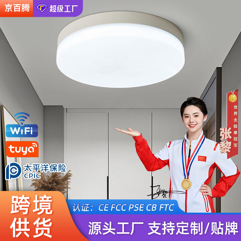 LED intelligent induction ceiling light round white human body induction light bedroom light balcony corridor light cross-border manufacturers