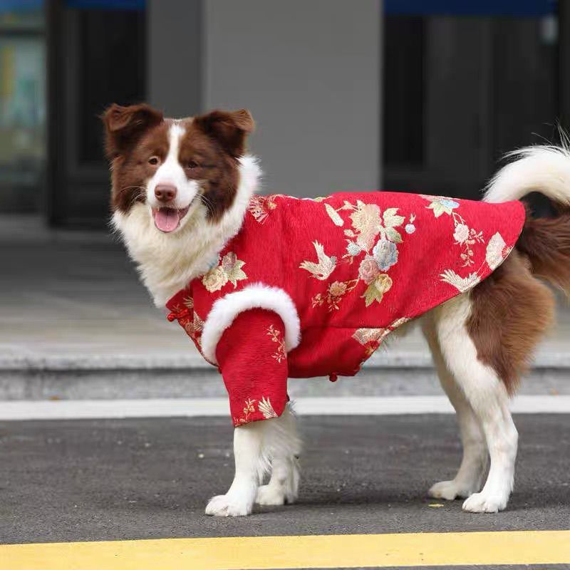 Dog Chinese New Year clothes Medium and large dogs Golden Retriever Edge Sheet Thickened warm cotton-padded clothes Small dogs Happy New Year greetings Tang Clothing Factory