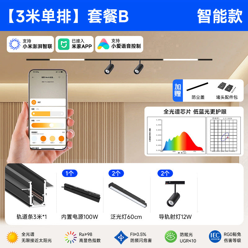 Smart Magnetic Track Light Embedded Embedded Package New Living Room No Main Light Lighting Applicable to Mobile App