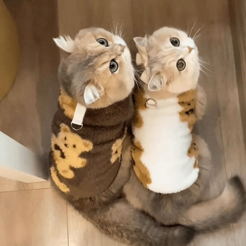 Cat clothes autumn and winter velvet can pull bear vest pet blue cat British short muppet silver gradient warm and cold proof