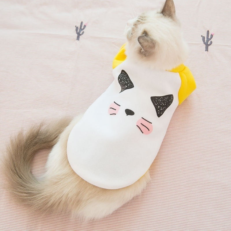 Handsome cat clothes autumn and winter clothes anti-hair loss and velvet warm kitten cloth blue cat kitten autumn and winter models
