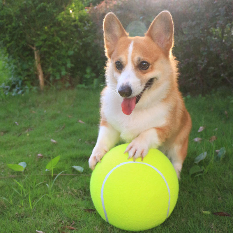 Cross-border explosion, oversized dog toy ball, tennis ball, elastic ball, gnaw-resistant pet ball, medium and small dog pet products