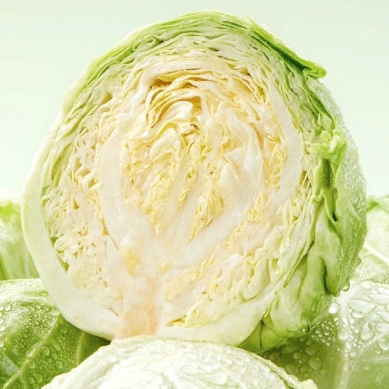 Pet snacks Freeze-dried spores Cabbage Cat and dog snacks Puppies Small dogs Nutritional complementary food Factory direct sales