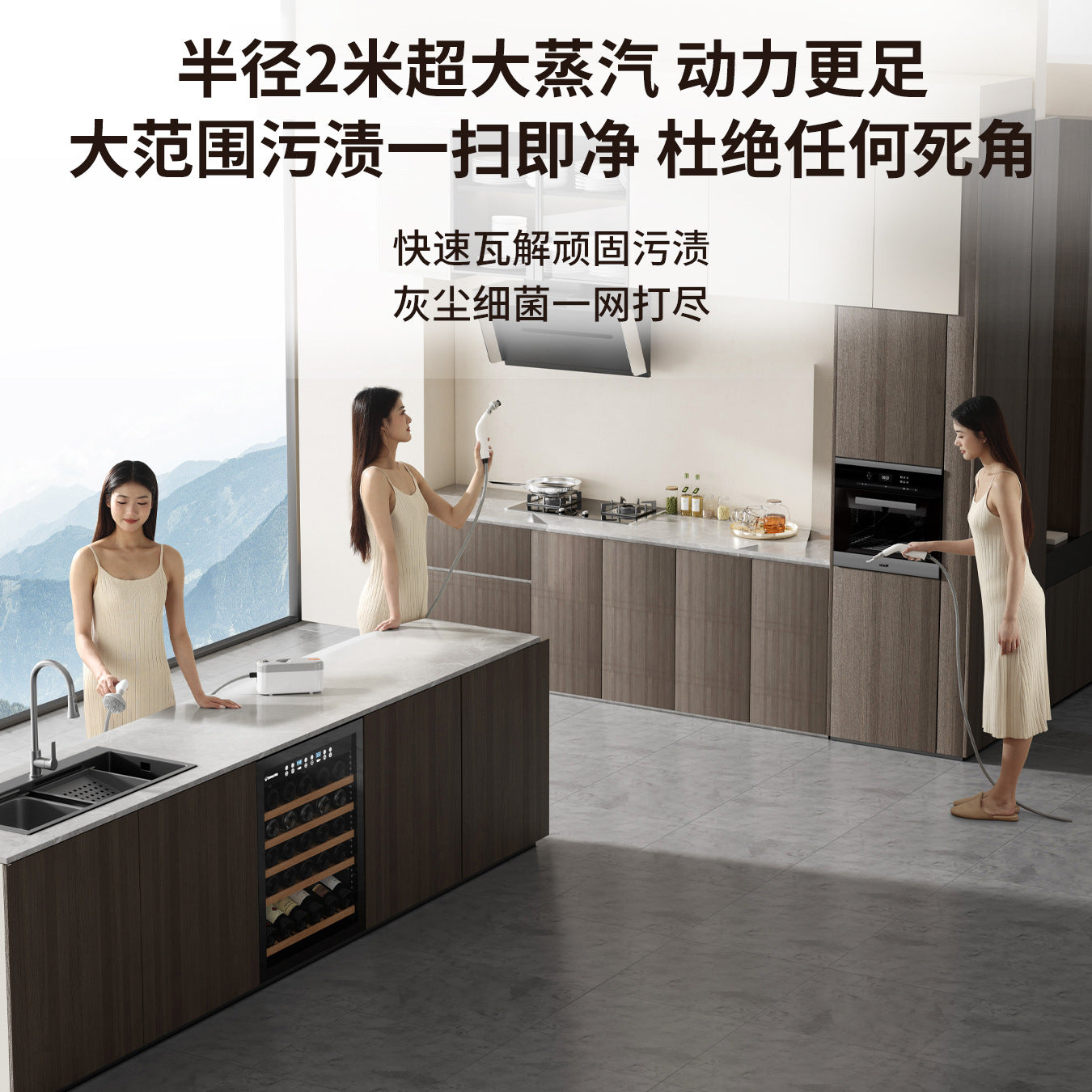 High temperature and high pressure steam cleaner Household small kitchen range hood Home appliance disinfection Air conditioner Multifunctional cleaning machine