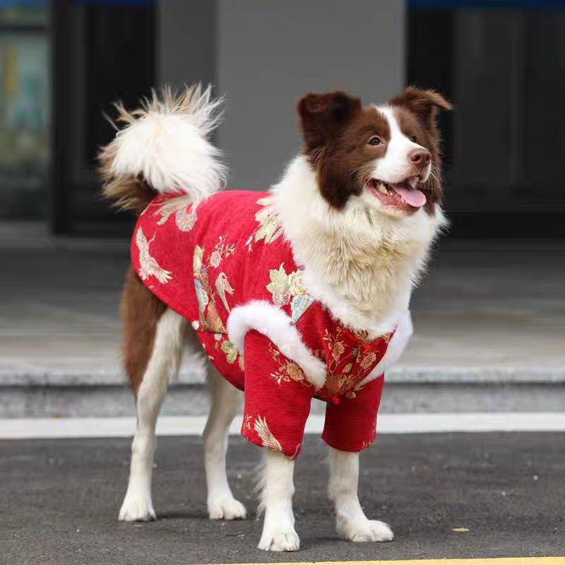 Dog Chinese New Year clothes Medium and large dogs Golden Retriever Edge Sheet Thickened warm cotton-padded clothes Small dogs Happy New Year greetings Tang Clothing Factory