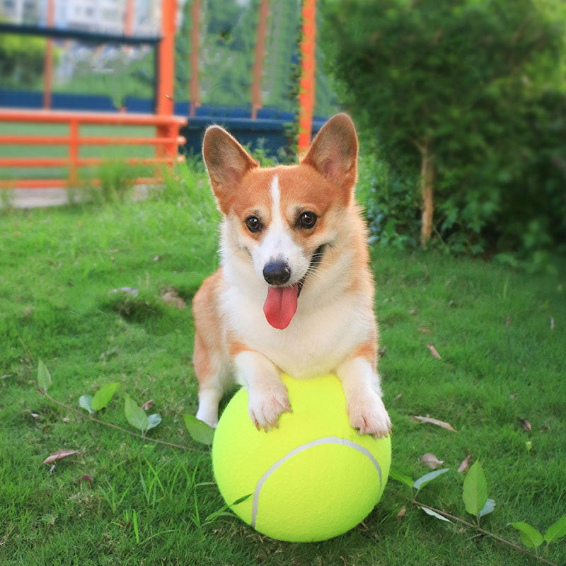 Cross-border explosion, oversized dog toy ball, tennis ball, elastic ball, gnaw-resistant pet ball, medium and small dog pet products