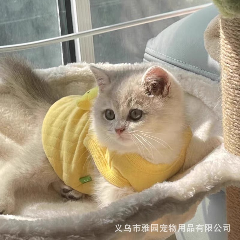 Supersmall kitten puppy dog clothes teddy puppy teacup dog newborn full moon autumn and winter milk dog milk cat vest