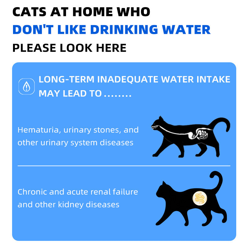 English Cross-border Canned Cat Pet Adult Cat Kitten 85g Foreign Trade Wholesale Full Price Universal Chicken Mousse Canned Cat