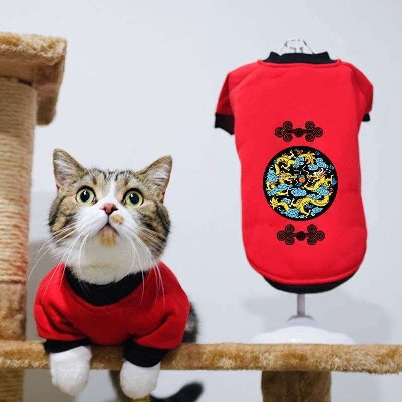 Handsome cat clothes autumn and winter clothes anti-hair loss and velvet warm kitten cloth blue cat kitten autumn and winter models