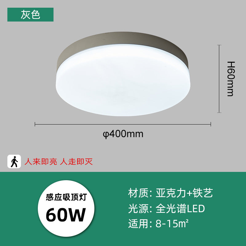 LED intelligent induction ceiling light round white human body induction light bedroom light balcony corridor light cross-border manufacturers