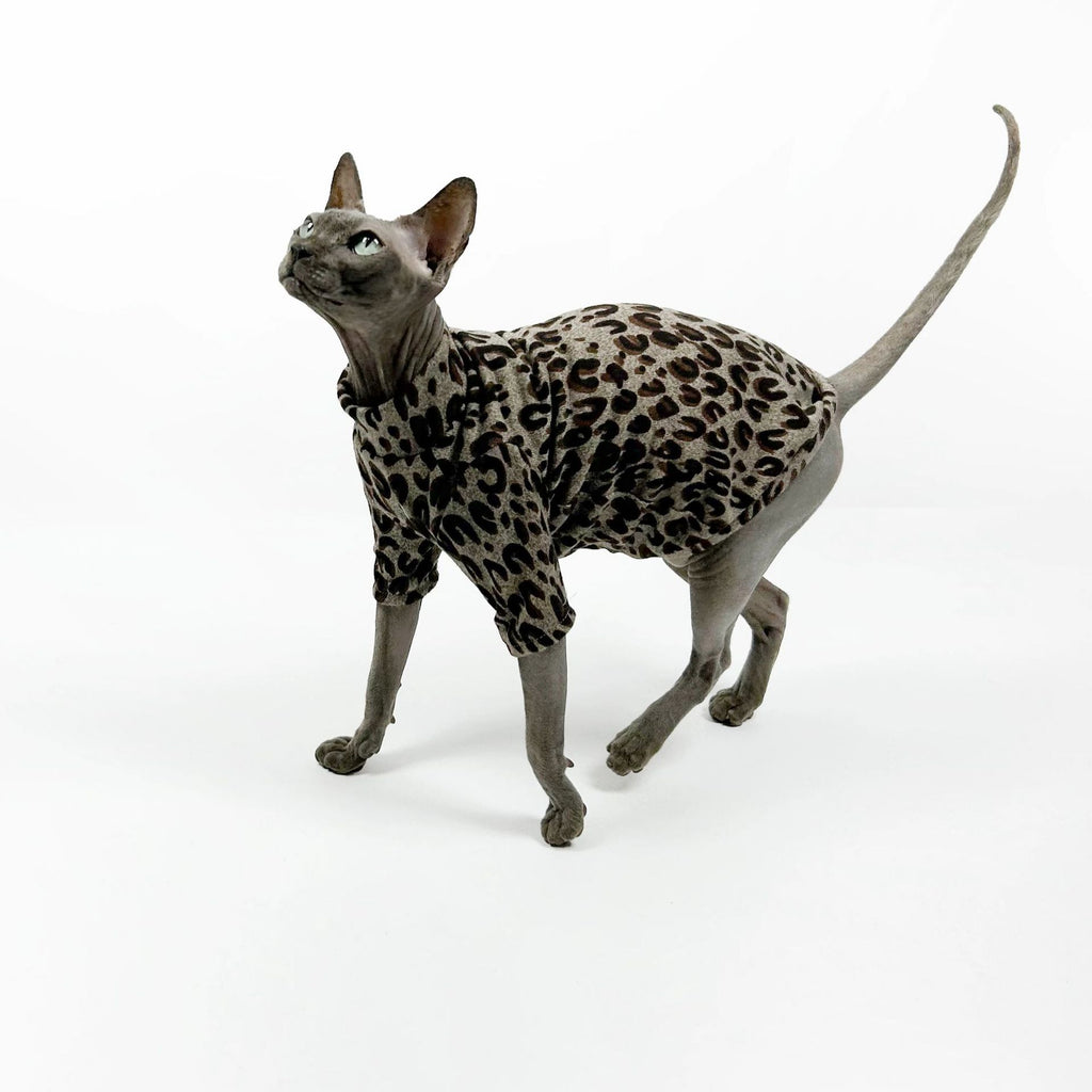 Winter hairless cat clothes Sphinx Devon air conditioner clothes Thin bottoming shirt Leopard print trendy cool cat four-legged clothes