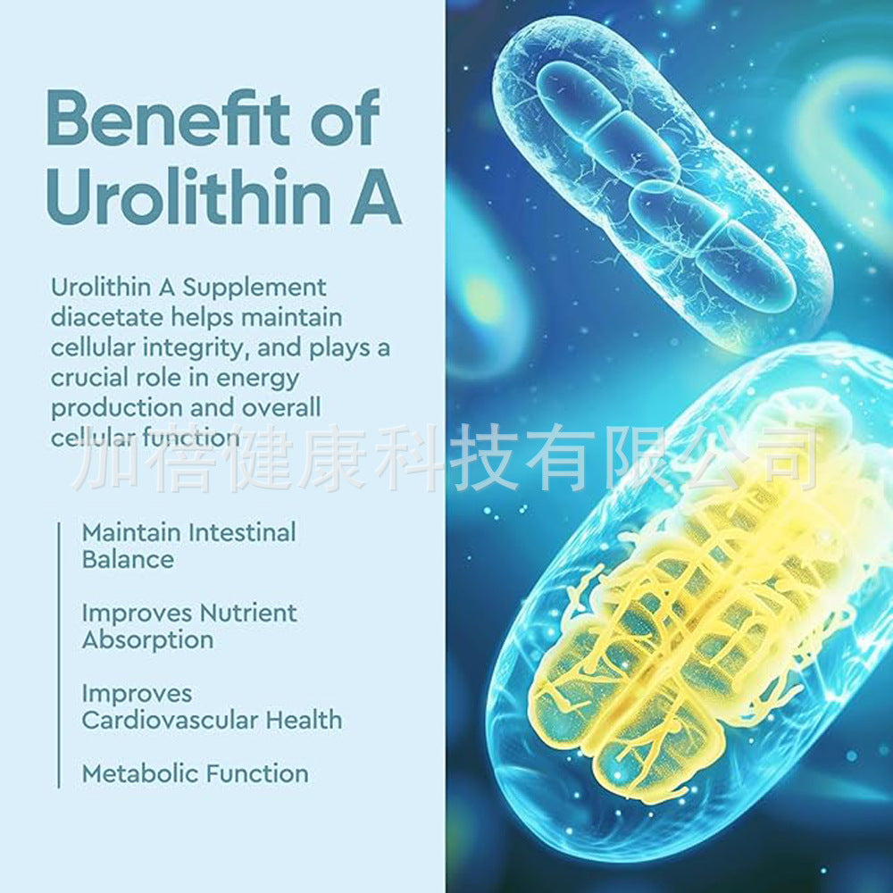 Jiabei Health Factory Customized Cross-border Liposomal Dietary Supplement Anti-aging Urolithin A Capsules OEM