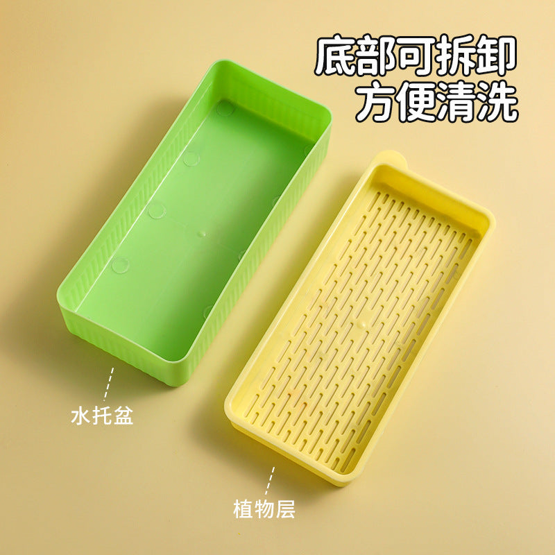 New Pet Cat Grass Planting Box Soilless Cultivation Cat Grass Set Cat Snacks Hydroponic Planting Grass Pet Supplies