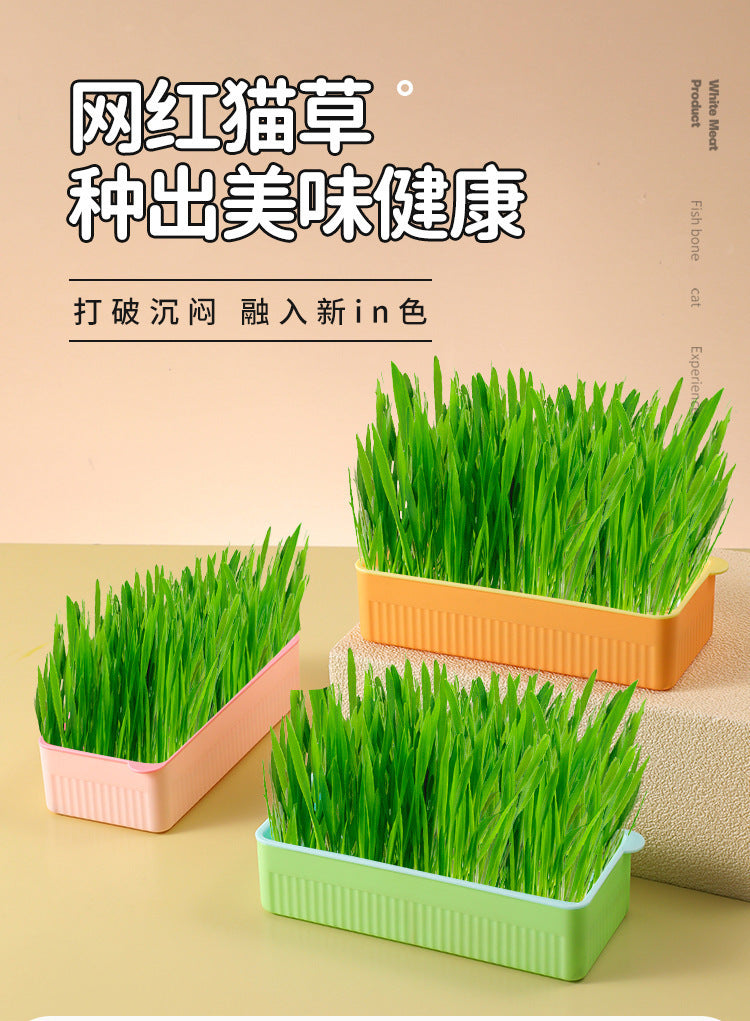 New Pet Cat Grass Planting Box Soilless Cultivation Cat Grass Set Cat Snacks Hydroponic Planting Grass Pet Supplies