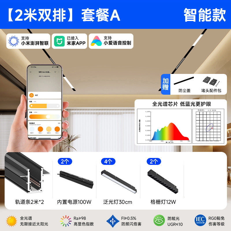 Smart Magnetic Track Light Embedded Embedded Package New Living Room No Main Light Lighting Applicable to Mobile App