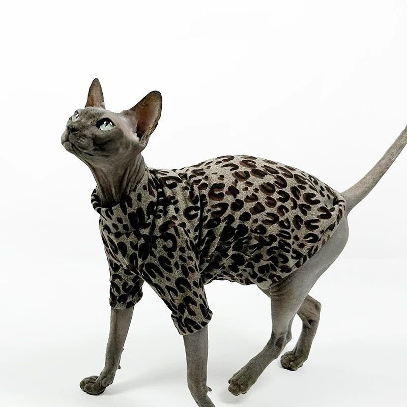 Winter hairless cat clothes Sphinx Devon air conditioner clothes Thin bottoming shirt Leopard print trendy cool cat four-legged clothes