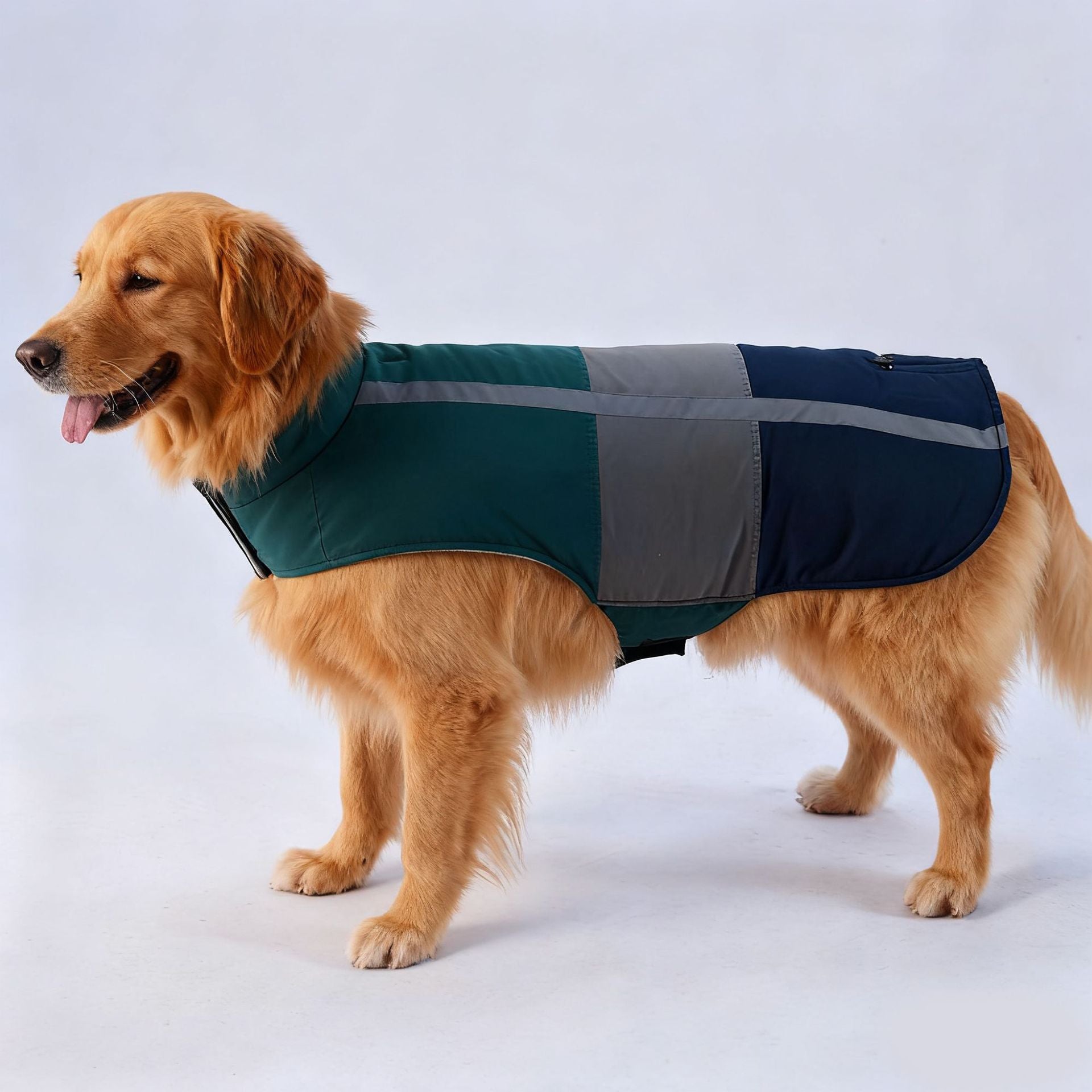 Cross-border popular pet autumn and winter clothes windproof and cold-proof puppy jacket integrated chest and back can pull dog cotton-padded clothes