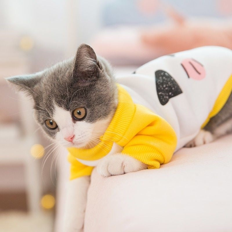 Handsome cat clothes autumn and winter clothes anti-hair loss and velvet warm kitten cloth blue cat kitten autumn and winter models