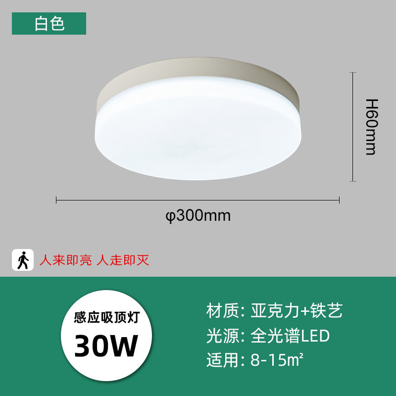 LED intelligent induction ceiling light round white human body induction light bedroom light balcony corridor light cross-border manufacturers