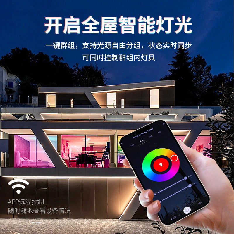 Smart graffiti ceiling light living room wifi bluetooth 2.4G remote control rgbcw dimming color dimming voice led ceiling light