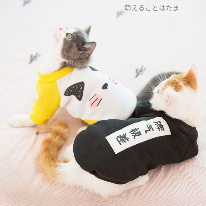 Handsome cat clothes autumn and winter clothes anti-hair loss and velvet warm kitten cloth blue cat kitten autumn and winter models