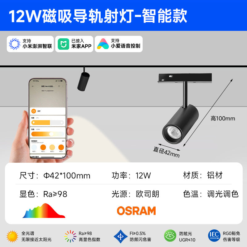 Smart Magnetic Track Light Embedded Embedded Package New Living Room No Main Light Lighting Applicable to Mobile App