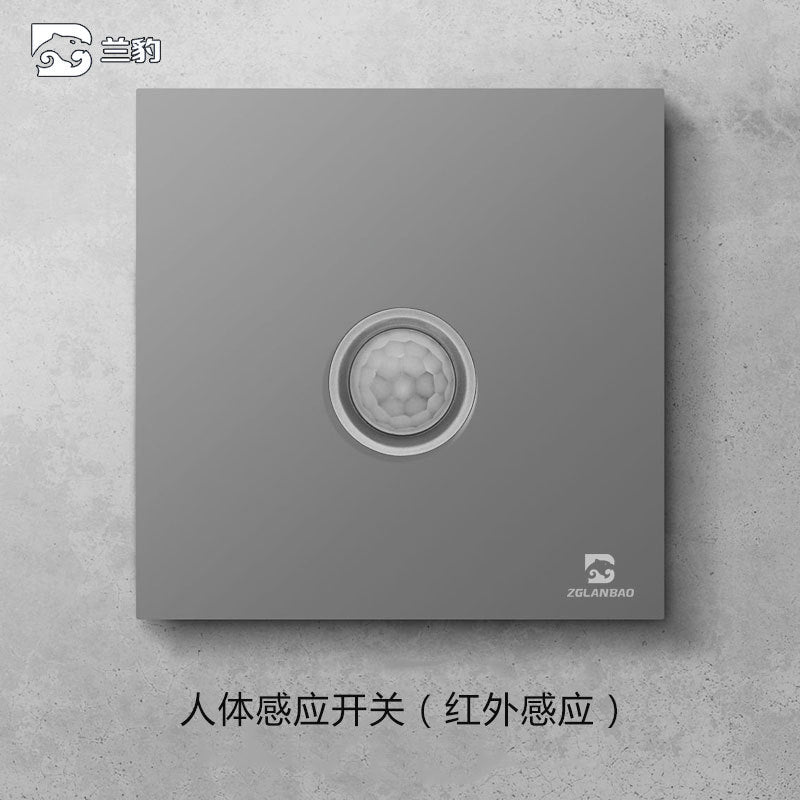 Wholesale Household Dark Grey Five-hole Socket 86 Concealed Two and Three Poles One Open Single Double Control Plug Switch Panel