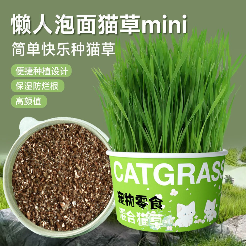 Pet Canned Cat Grass Hydroponics Soilless Removal Hairball Aid Digestion Potted Plant Instant Noodles Pet Treats Pet Supplies Cat Grass