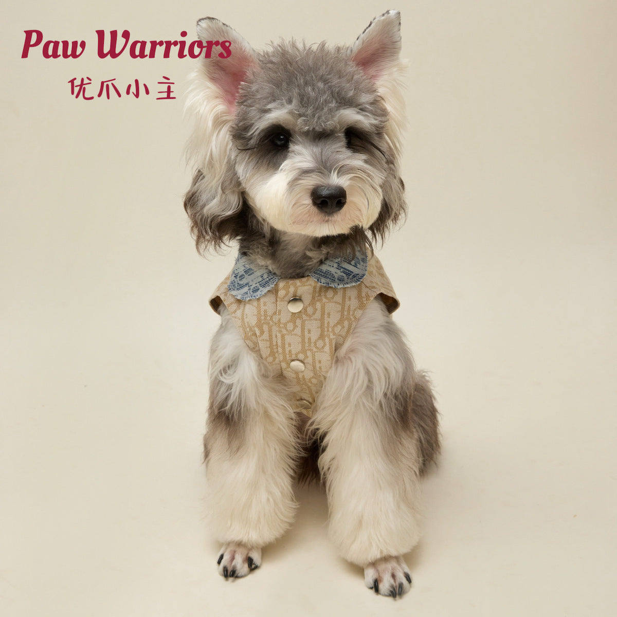 Pet vest denim sleeveless jacket spring and summer splicing trendy brand large dog clothes puppy teddy than bear pomeranian cat