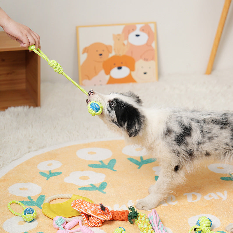 Dog toys, bite-resistant puppies, large pet cats, small dogs, and juvenile pet supplies, molar sets, bite-resistant and wear-resistant.