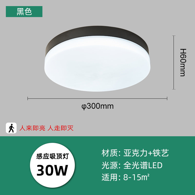 LED intelligent induction ceiling light round white human body induction light bedroom light balcony corridor light cross-border manufacturers
