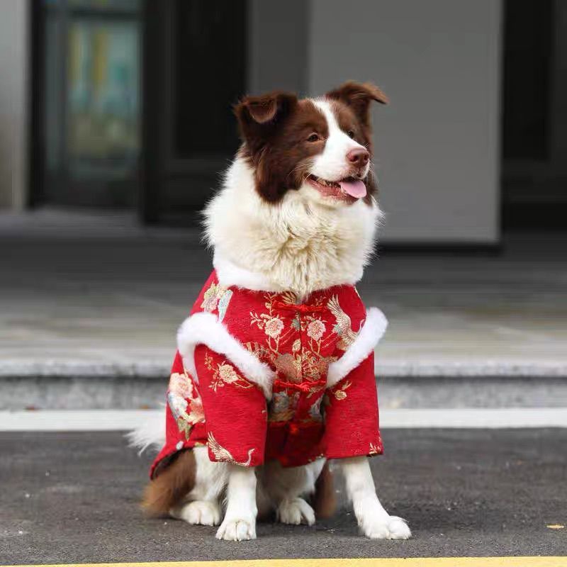 Dog Chinese New Year clothes Medium and large dogs Golden Retriever Edge Sheet Thickened warm cotton-padded clothes Small dogs Happy New Year greetings Tang Clothing Factory