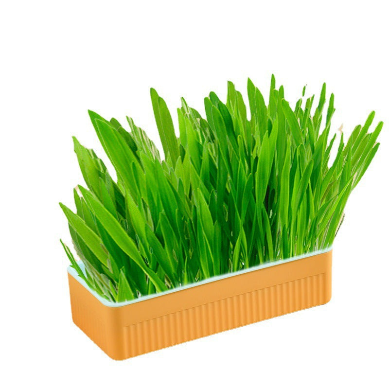 New Pet Cat Grass Planting Box Soilless Cultivation Cat Grass Set Cat Snacks Hydroponic Planting Grass Pet Supplies
