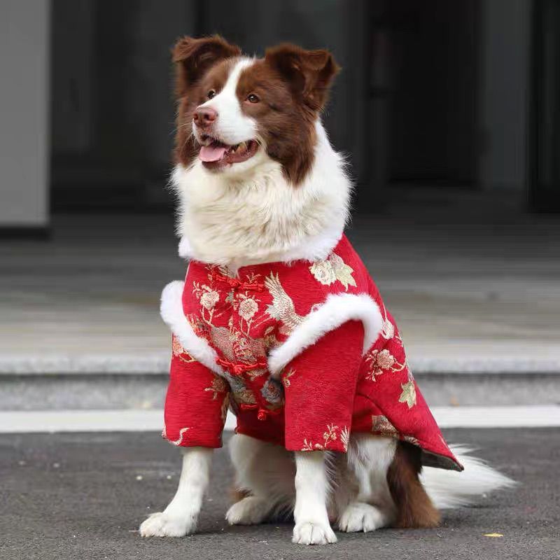 Dog Chinese New Year clothes Medium and large dogs Golden Retriever Edge Sheet Thickened warm cotton-padded clothes Small dogs Happy New Year greetings Tang Clothing Factory
