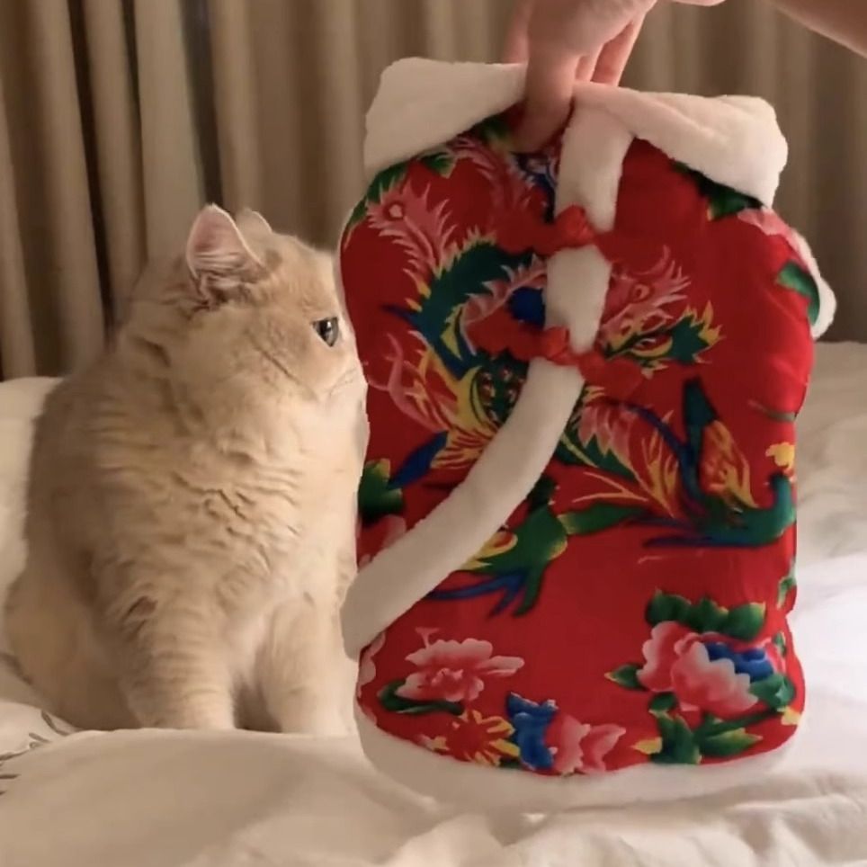 Wholesale cat clothes autumn and winter velvet thermal vest vest silver gradient puppet cat male cat northeast big flower jacket