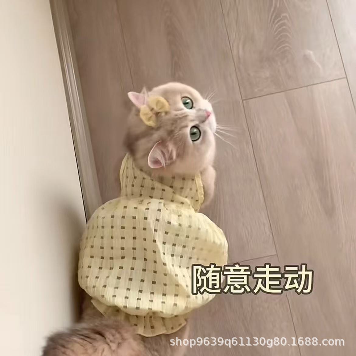 Cat summer clothes small skirt anti-hair loss cute ins gold gradient ragdoll cat British short summer suspender skirt