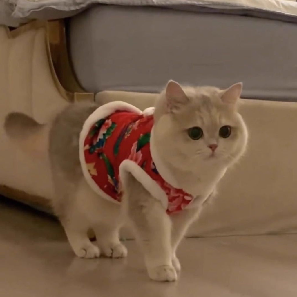 Wholesale cat clothes autumn and winter velvet thermal vest vest silver gradient puppet cat male cat northeast big flower jacket