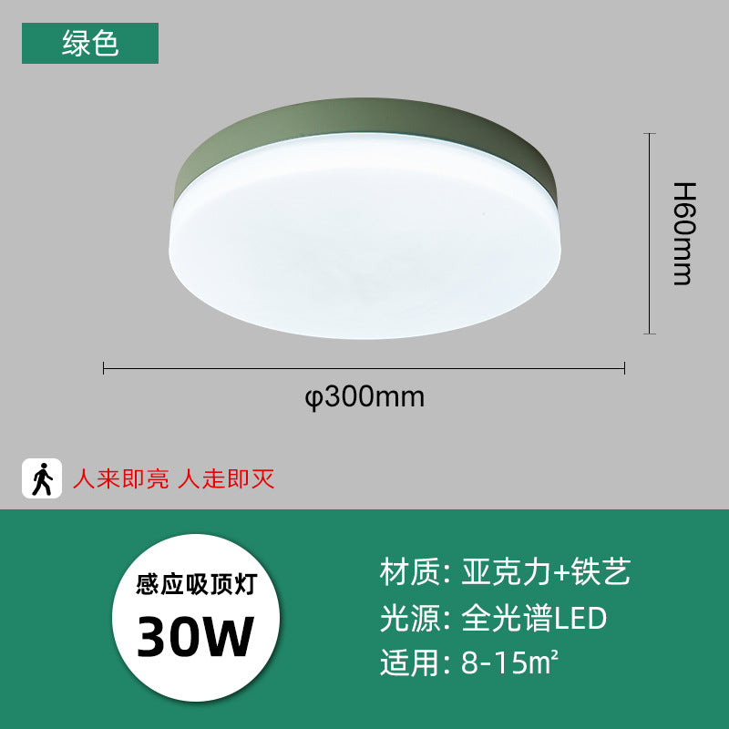 LED intelligent induction ceiling light round white human body induction light bedroom light balcony corridor light cross-border manufacturers