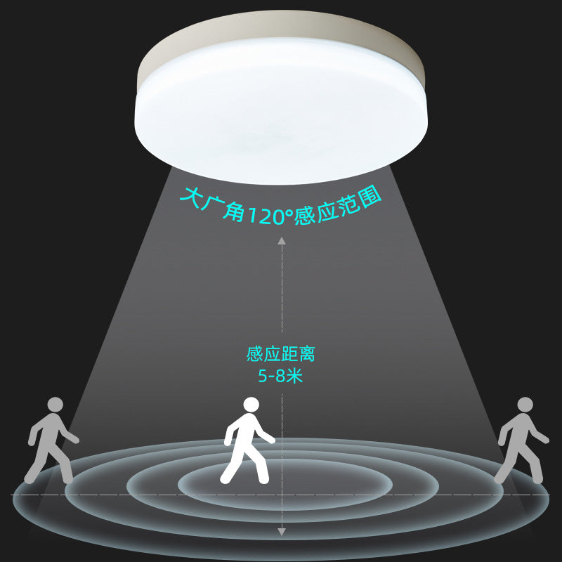 LED intelligent induction ceiling light round white human body induction light bedroom light balcony corridor light cross-border manufacturers