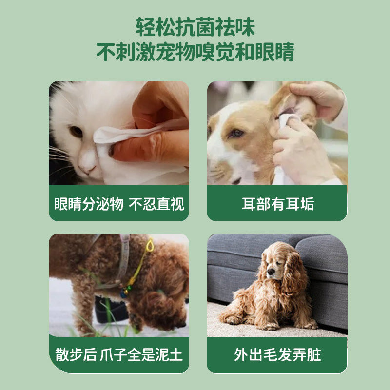 Pet wipes 100 special for cats and dogs, leave-in cleaning and deodorizing wipes paper, Amazon cross-border foreign trade OEM customization