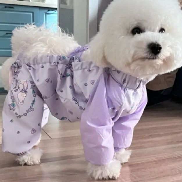 Dog dust pants walking spring and summer anti-dirty and insect-proof light four-legged leg cover leg guard small dog spring and summer clothes