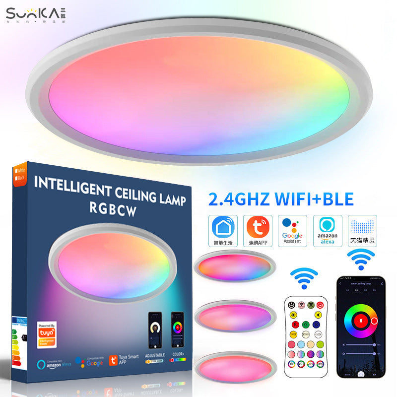 Smart graffiti ceiling light living room wifi bluetooth 2.4G remote control rgbcw dimming color dimming voice led ceiling light