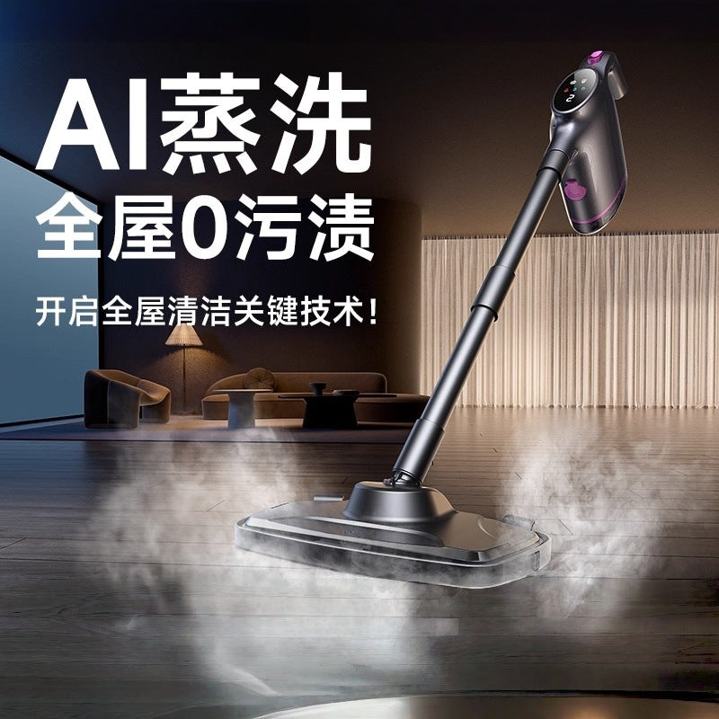 High temperature steam cleaner handheld household kitchen two-in-one steam mop high temperature sterilization steam pot shoe brush machine
