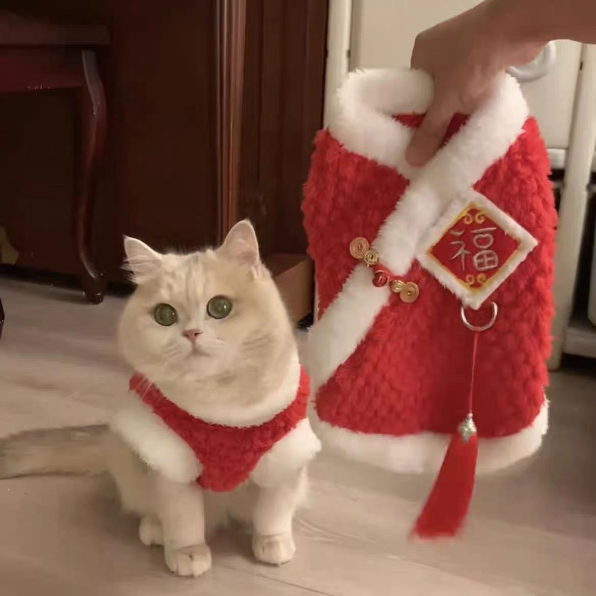 Cat New Year's clothes autumn and winter cute ins blue and gold gradient puppet cat blue cat red Chinese New Year festive clothes
