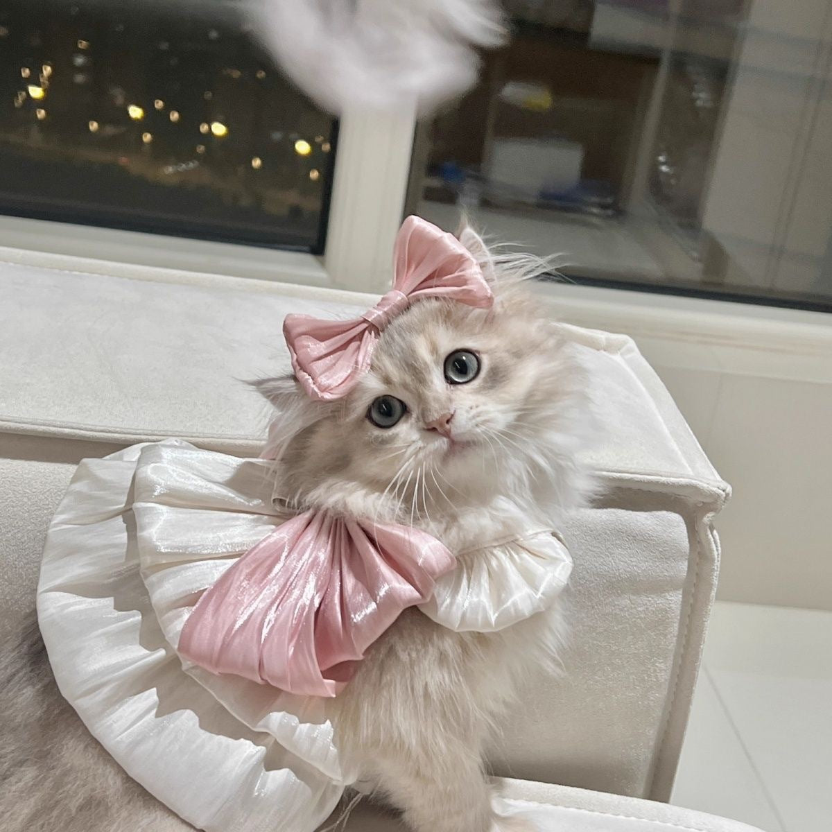 Cute Pet Cat Skirt Spring/Summer Dog Suspender Skirt Traction Pink Streamer Skirt Maltese Yorkshire